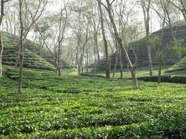 Chattogram → Cox's Bazar