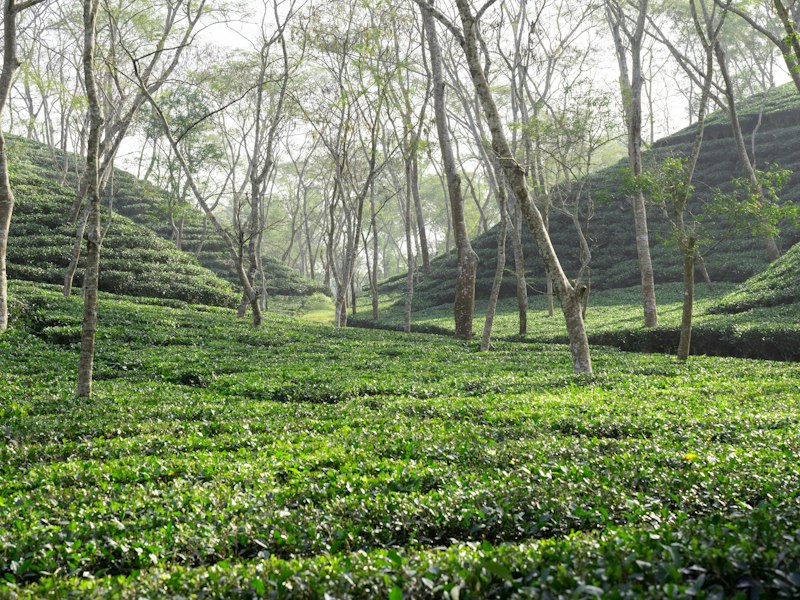 destination-sylhet